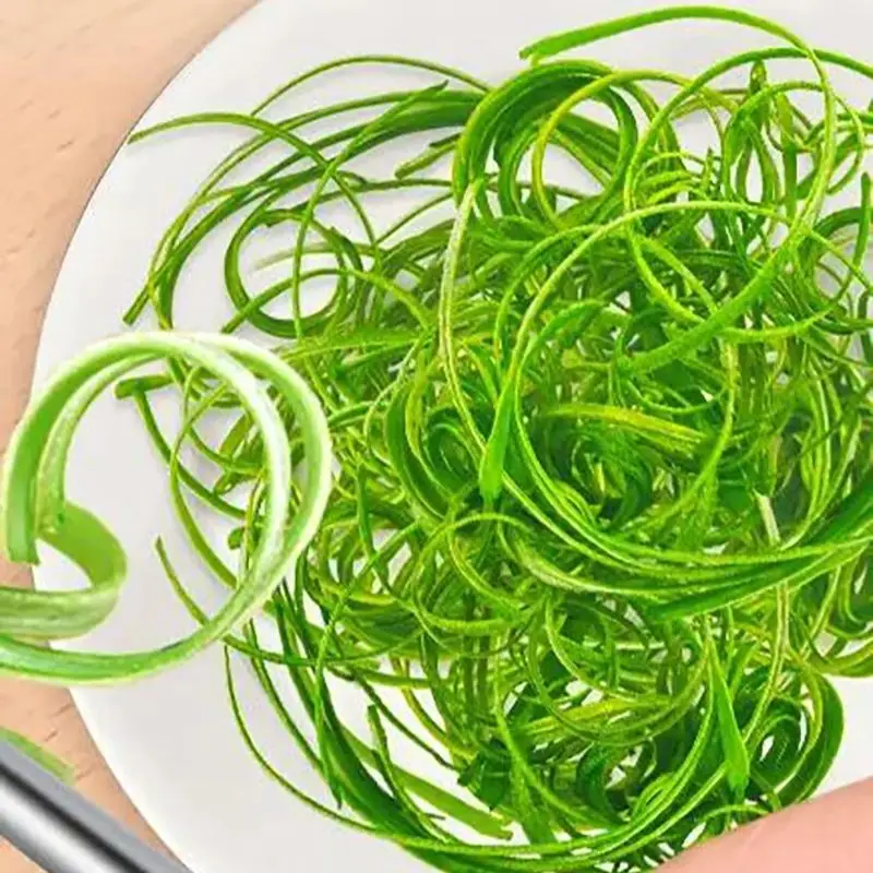 2025 New Competitive Price Multifunction Vegetable Horizontal Electrical Cutting Green Onion Shred Machine