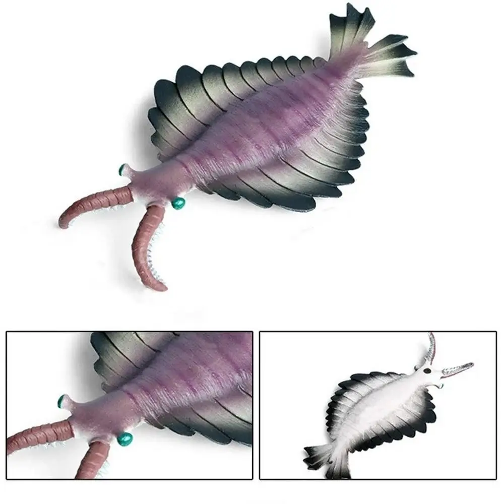 

Prehistoric Ocean Animal Figure Nautilus Anomalocaris Marine Life Figurines Ancient Simulation Trilobite Figure Collection