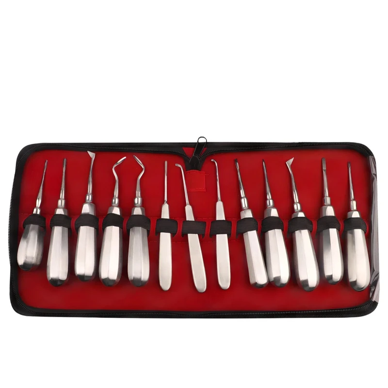 13Pcs Stainless Steel Dental Root Extraction Tool Kit Curved Root Forceps Elevators Hexagon Grip Handles for Dentist Clinic