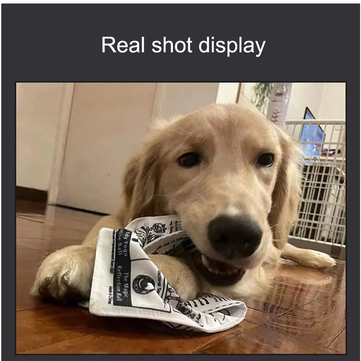 Juguete interactivo para perros con sonido de periódico arrugado - imagen 5