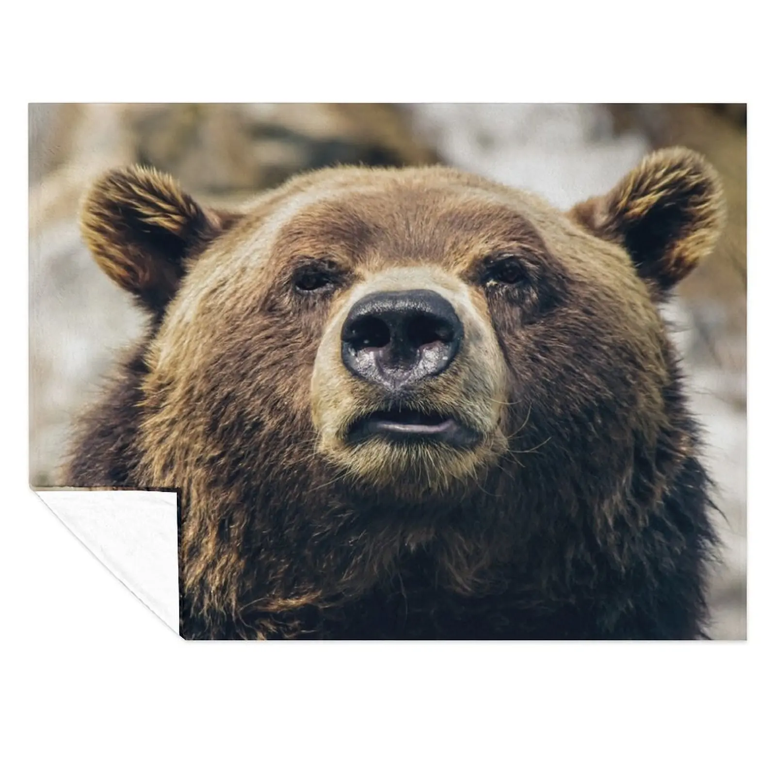 

Grizzly Bear Throw Blanket Kid'S warm winter For Sofa Thin Blankets