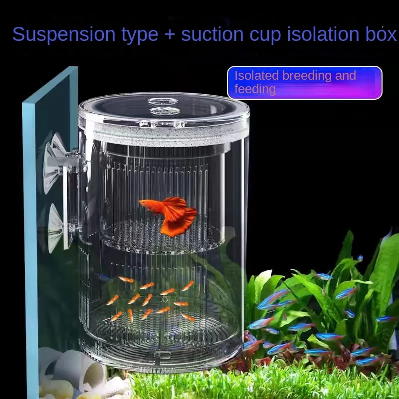 Fish Tank Isolation Box Incubation Box Peacock Fish Phoenix Tail Breeding Box Small Fish Fry Outside Non Acrylic Spawning Room