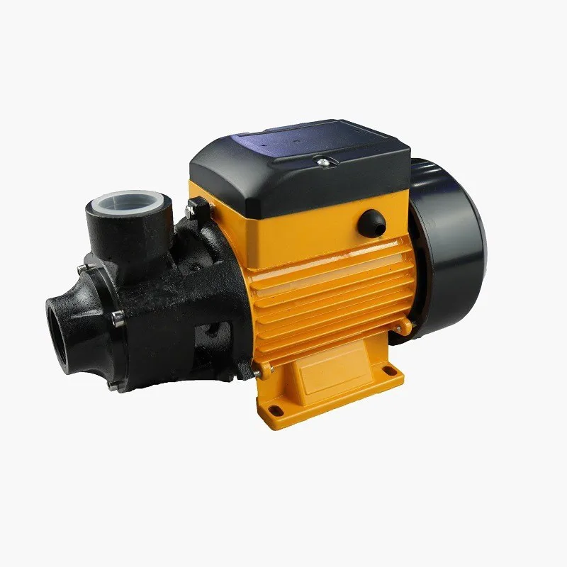 0.5HP QB60 Electric…