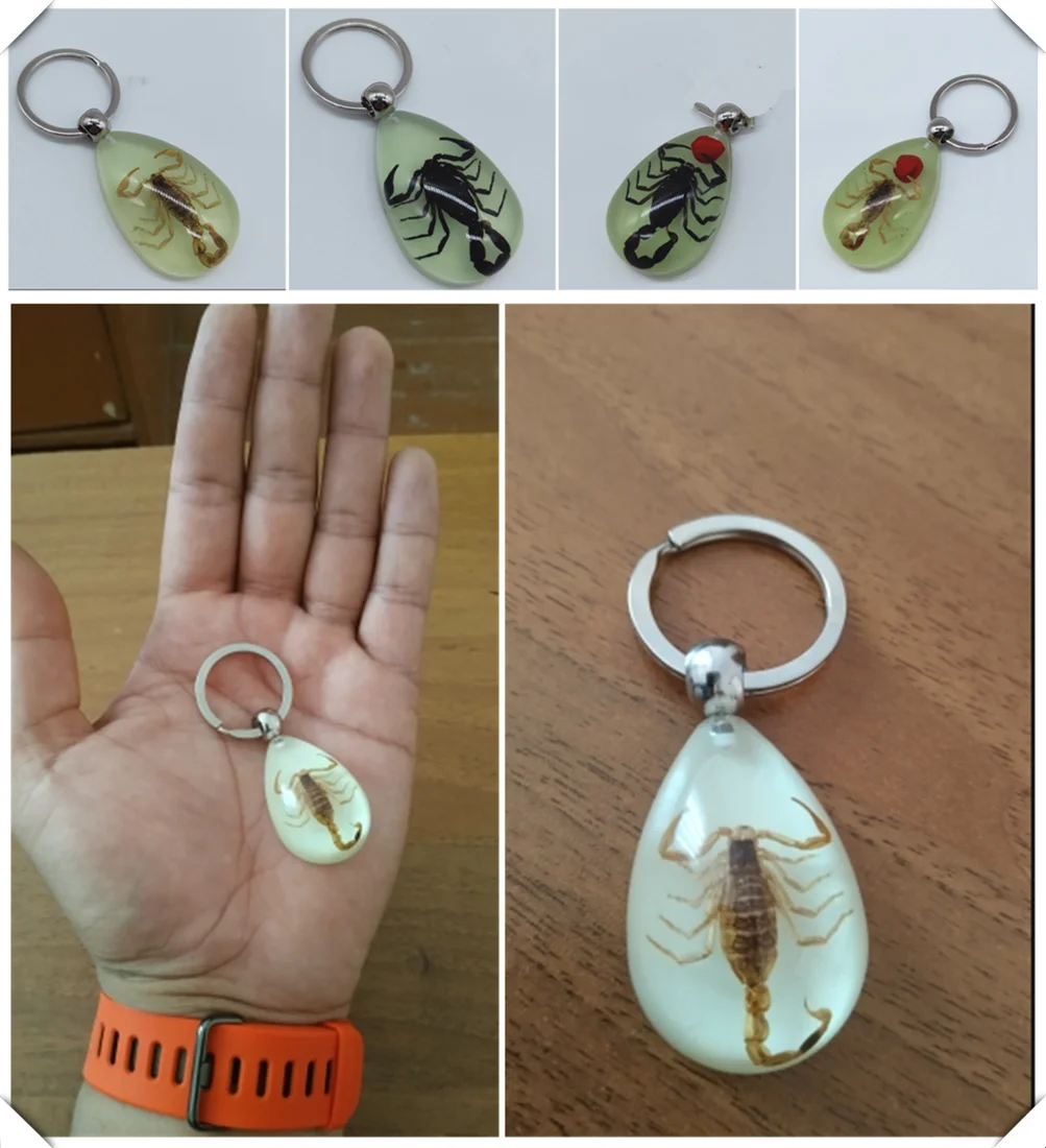 Motorcycle style scorpion luminous wear key chain crafts accessories for Ducati 1098 S TRicoloR 1198 S R 749 S R 848 EVO