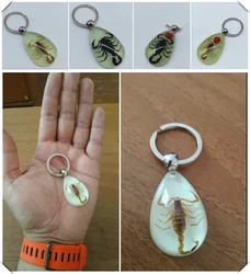 Motorcycle style scorpion luminous wear key chain crafts accessories for Ducati 1098 S TRicoloR 1198 S R 749 S R 848 EVO