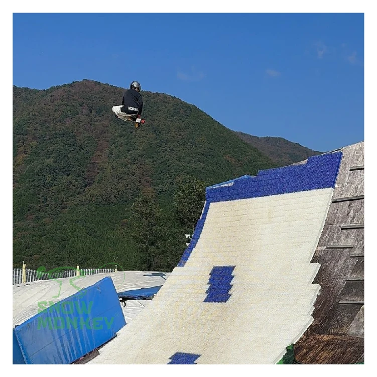 الطريقة الصحيحة لفتح التزلج للفصول الأربعة في المدينة على شكل قرد الثلج الجاف #2