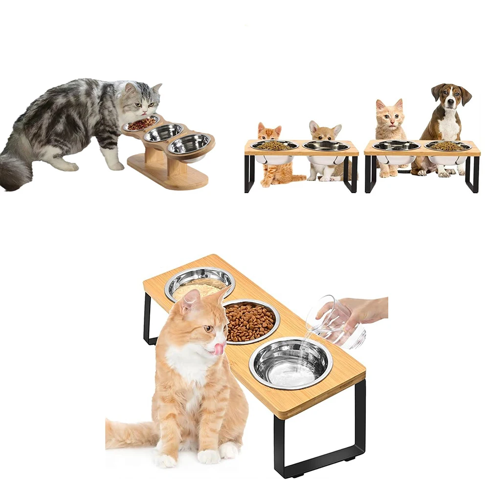 

cat bowl with 15° tilt bracket to prevent vomiting Heightened cat bowl for food and water stainless steel bowl for cats puppies