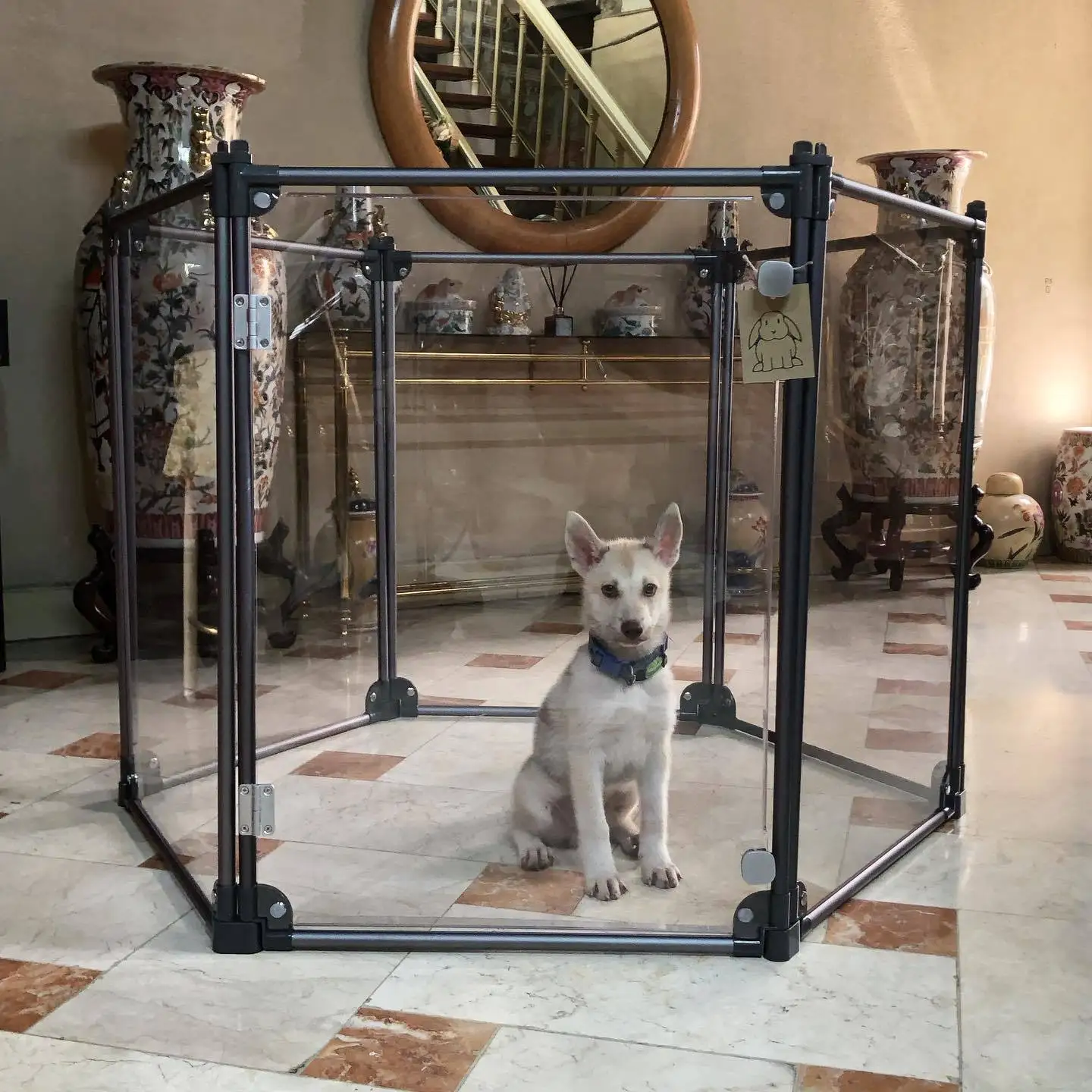 

Luxury Modernization Pet Cages Houses Reptile Enclosure Pvc Acrylic Pet Cages Small Cats Dog Cages for in House