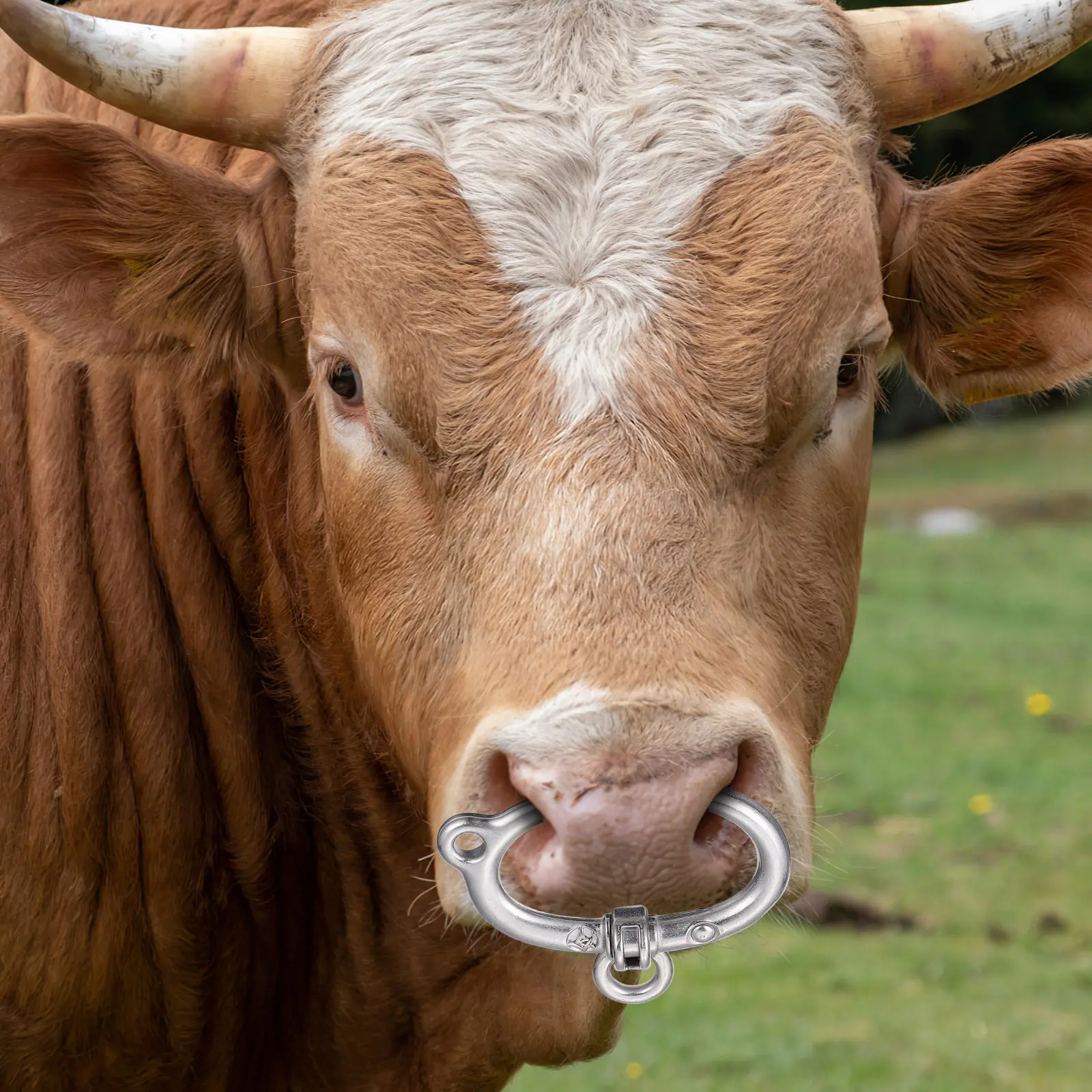 

Кольцо для носа крупного рогатого скота из нержавеющей стали, износостойкое, с пружинным механизмом, металлический зажим-кольцо для коров