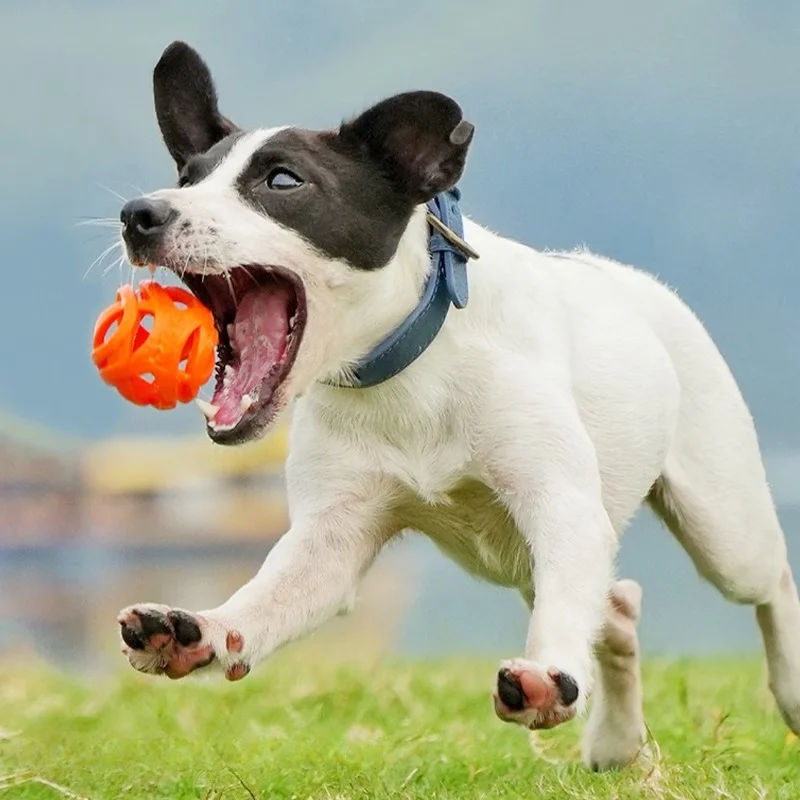 Thumbnail 4 - #28 Dog Fetch Toys Price Drop Alerts
