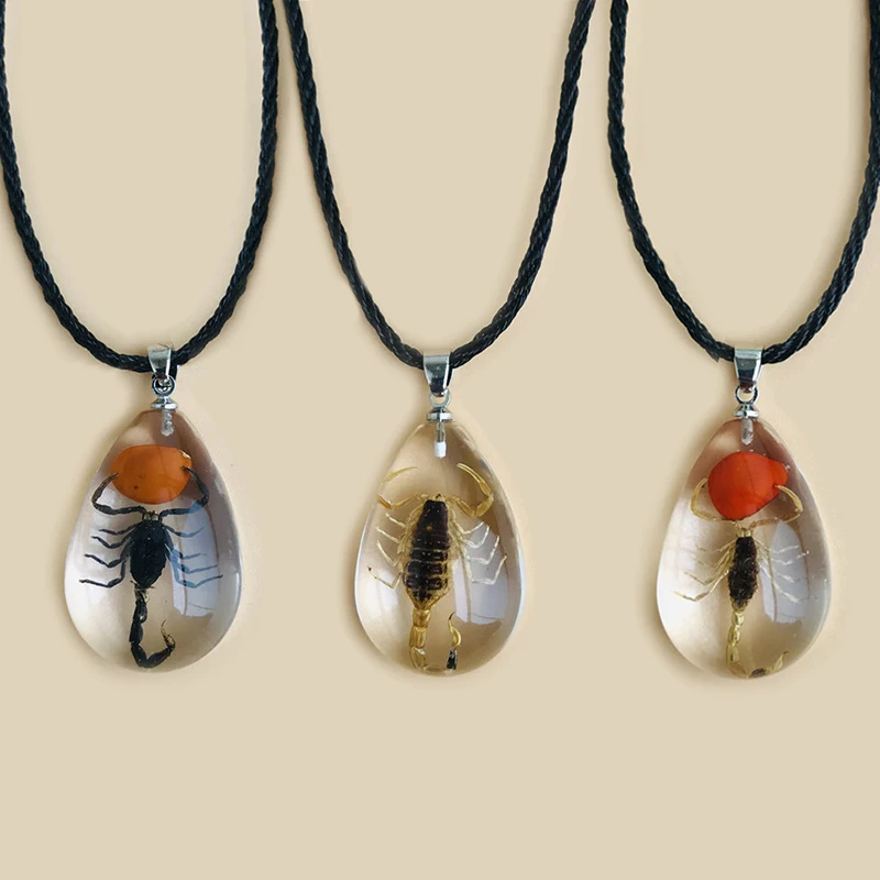 Gothic Resin Scorpion Pendant Necklace For Women Fashion Insect Specimen Vintage Necklace Aesthetic Jewelry