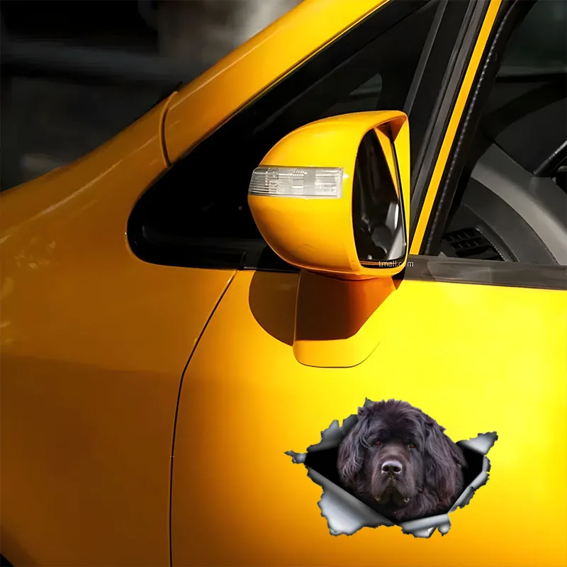 DK579# 3D Black Newfie Car Sticker, Fun Waterproof Sticker for Cars, Trucks, Motorcycles, Walls, Windows, PVC Material