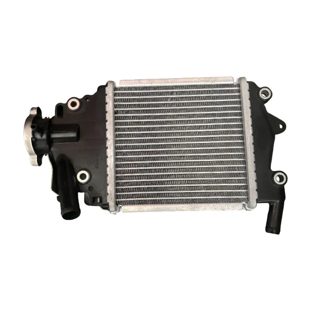 Radiador de Aleación de Alta Eficiencia Resistente a la Corrosión para Tanque de Refrigeración de Motor Compatible con Honda Click125 150 PCX150 ADV150 Vario125 150 Reparación de Scooter de Carretera