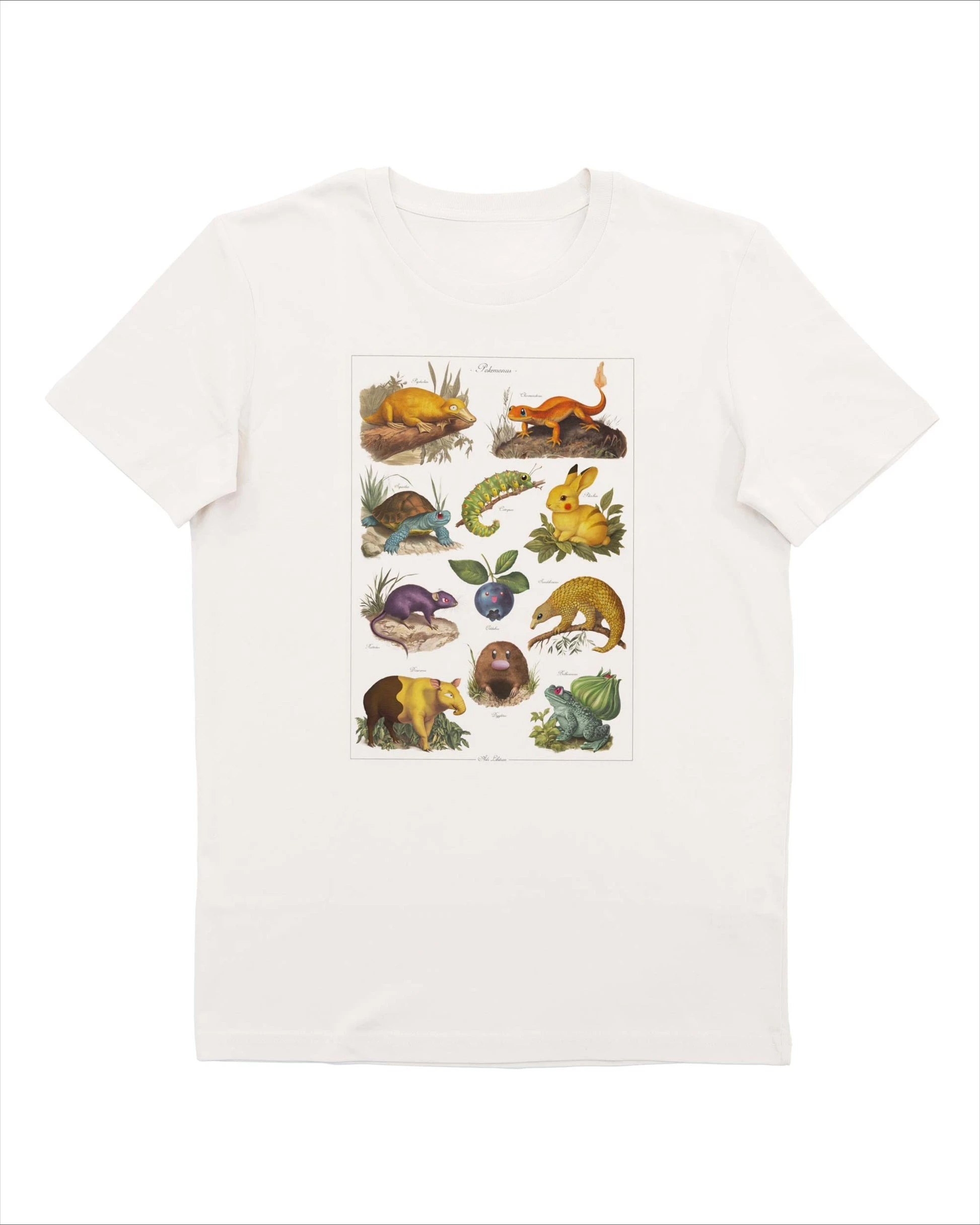 T-Shirt Unisex in Cotone Biologico con Stampa Pokémon, Casual, di Lusso per Uomo, Donna e Bambini