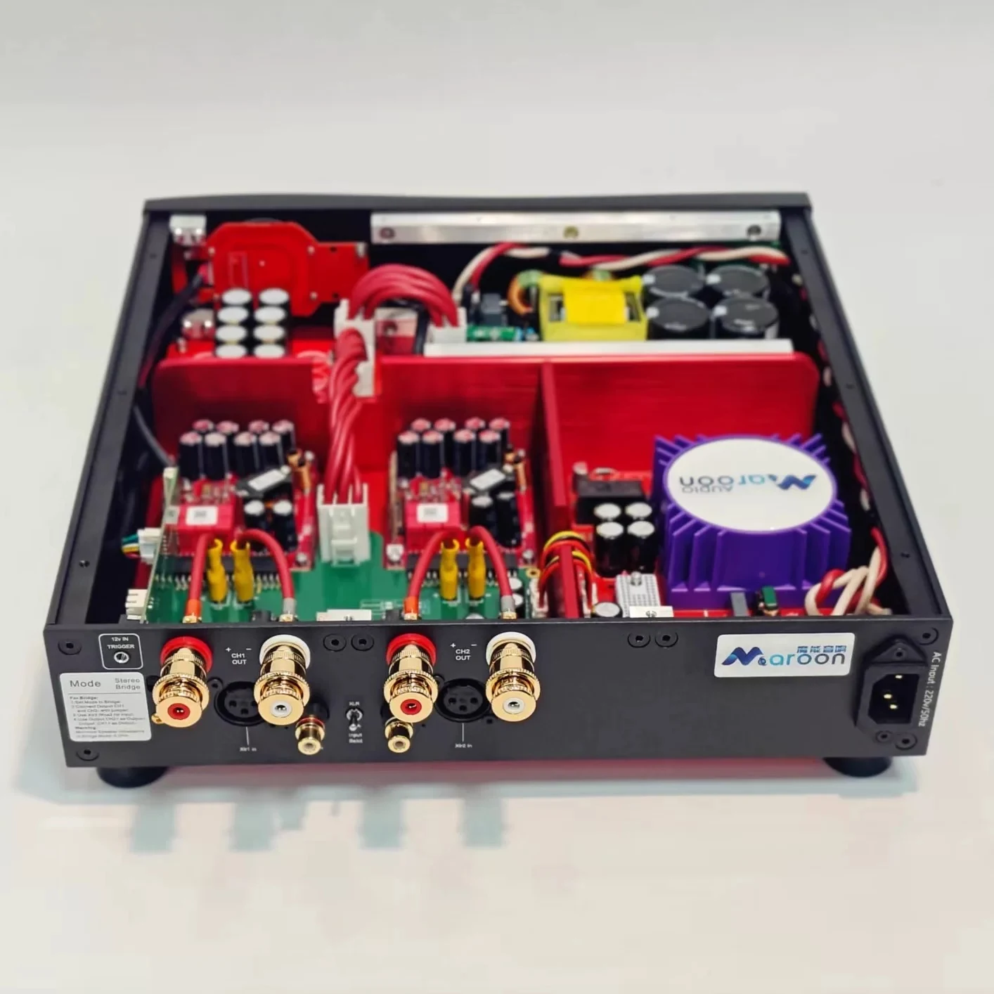 Maroon Audio Purifi 1ET6525SA / Hypex NCx500 Class D Power Amp, Hi-End Mono/Stereo Amplifier for Audiophile