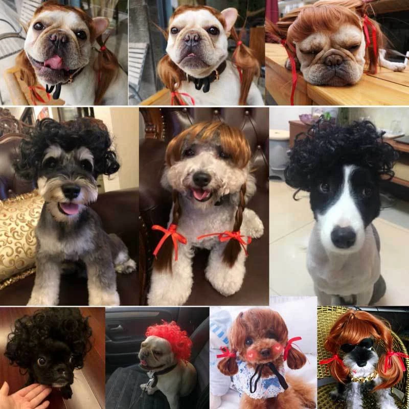 Pet Dog Wigs Cosplay Props Funny Dog Cat Cross-Dressing Hair Hat Costumes Head Accessories For Halloowen Christmas Pet Supplies