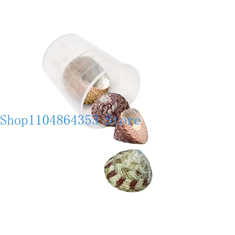 652F Handpicked Natural Seashells Crafting Supplies Unique Shell Beads Jewelry and Decoration Materials Seashells Accessories