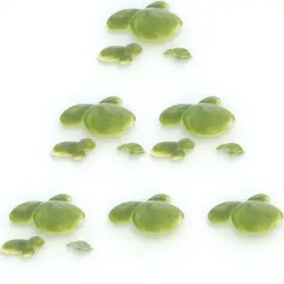 

18Pcs Simulation Floating Duckweed Aquarium Plants Mini Fake Fish Tank Decor Artificial Water Plant Accessories for Pond