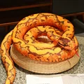 dark orange