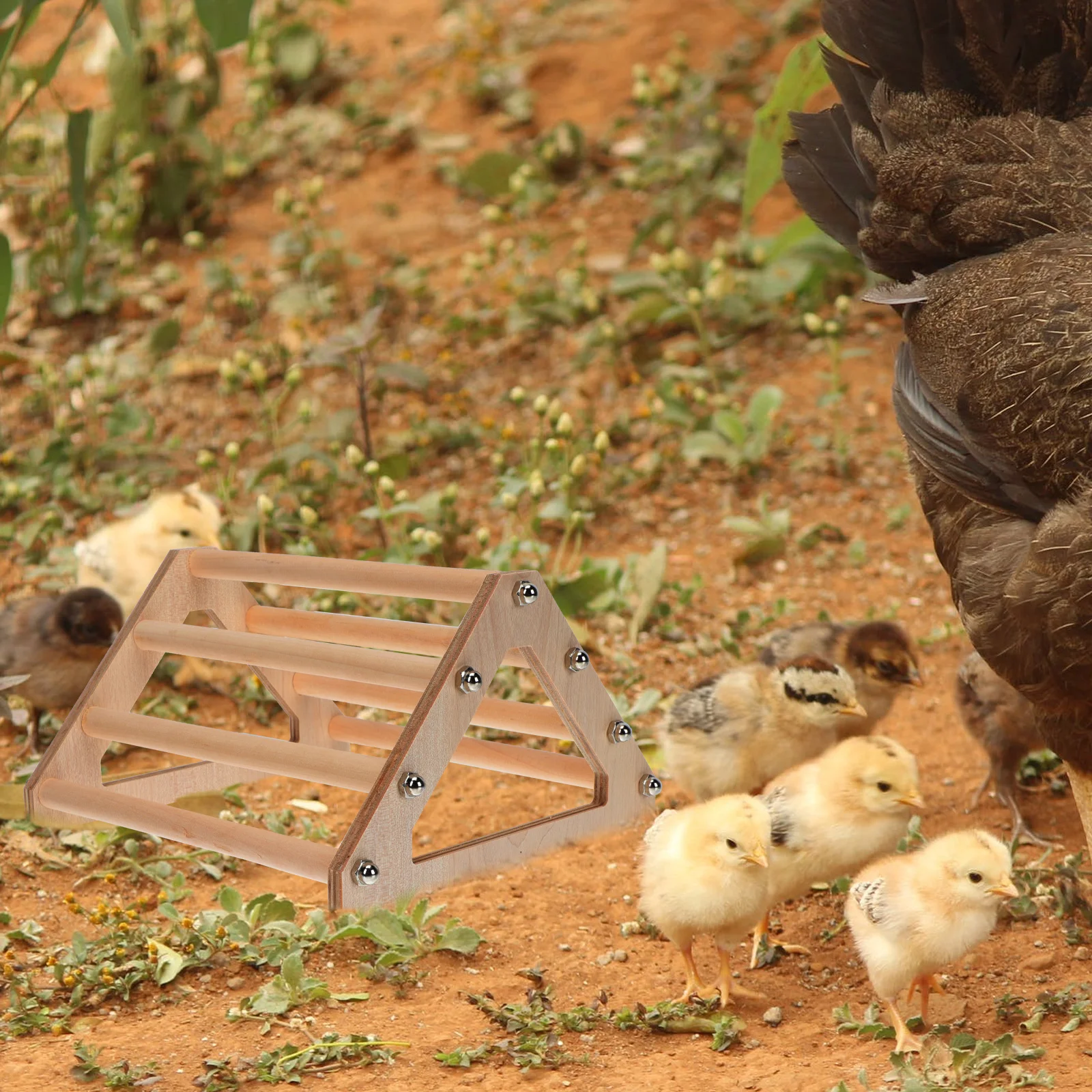 

Wooden Hen Rooster Toy Parrot Plaything Farm Frame Perch Smooth Durable Handmade Safe Chew Various Chickens
