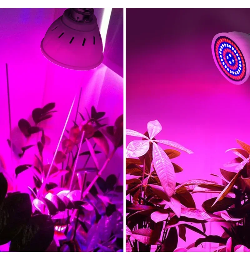 Luz LED de crecimiento hidropónico, bombilla Led de espectro completo, lámpara UV de 220V, plántulas de flores y plantas de alta calidad, E27, B22,