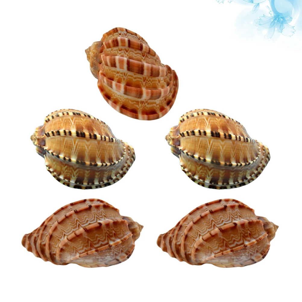 

5Pcs Conch Ornament Aquarium Decor Natural Color Landscape Accessories Fish Tank Decoration Stress Relief Gift