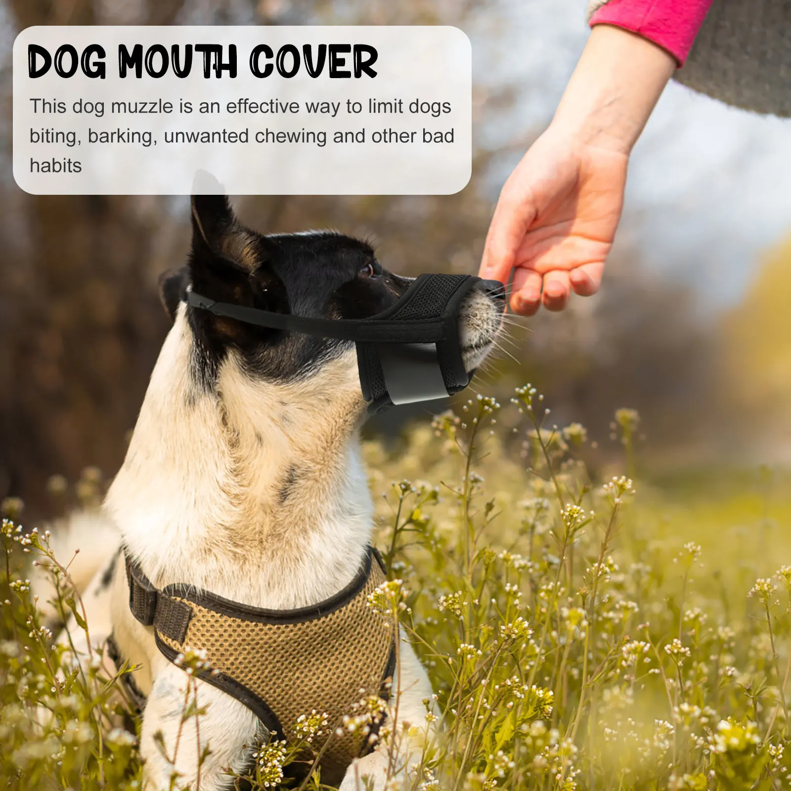

Practical Dog Breathable Anti Chewing Bite Mouth Cover Lightweight Durable Dog Muzzle Prevent Eating Street Sturdy Material Pet