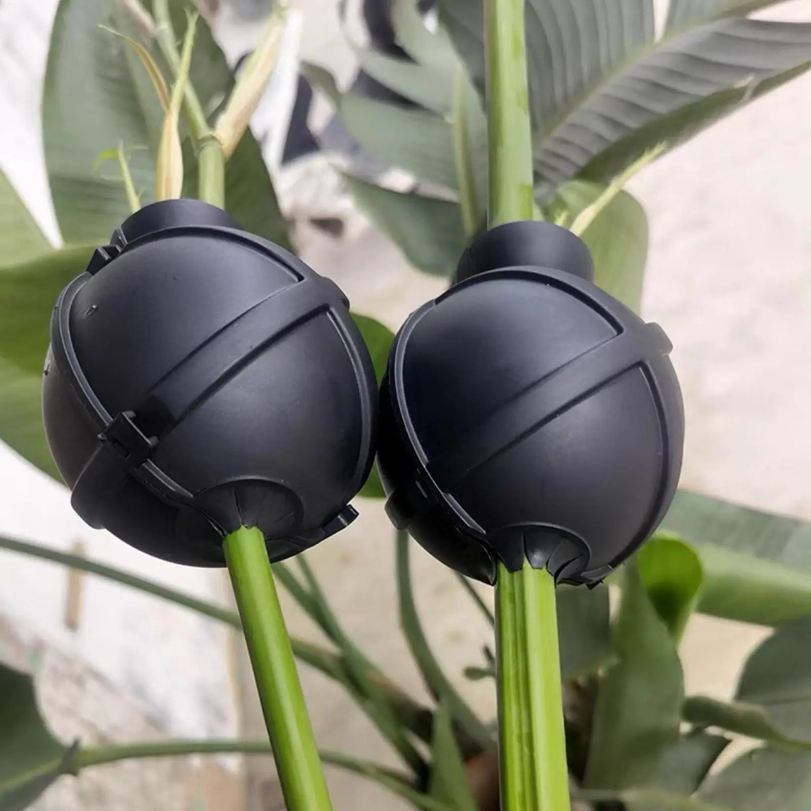 Plant Rooting Ball Grafting Box Pods Fertilizer Substrate Cuttings Grow Plant Propagation Ball Transplanting for Garden Potting