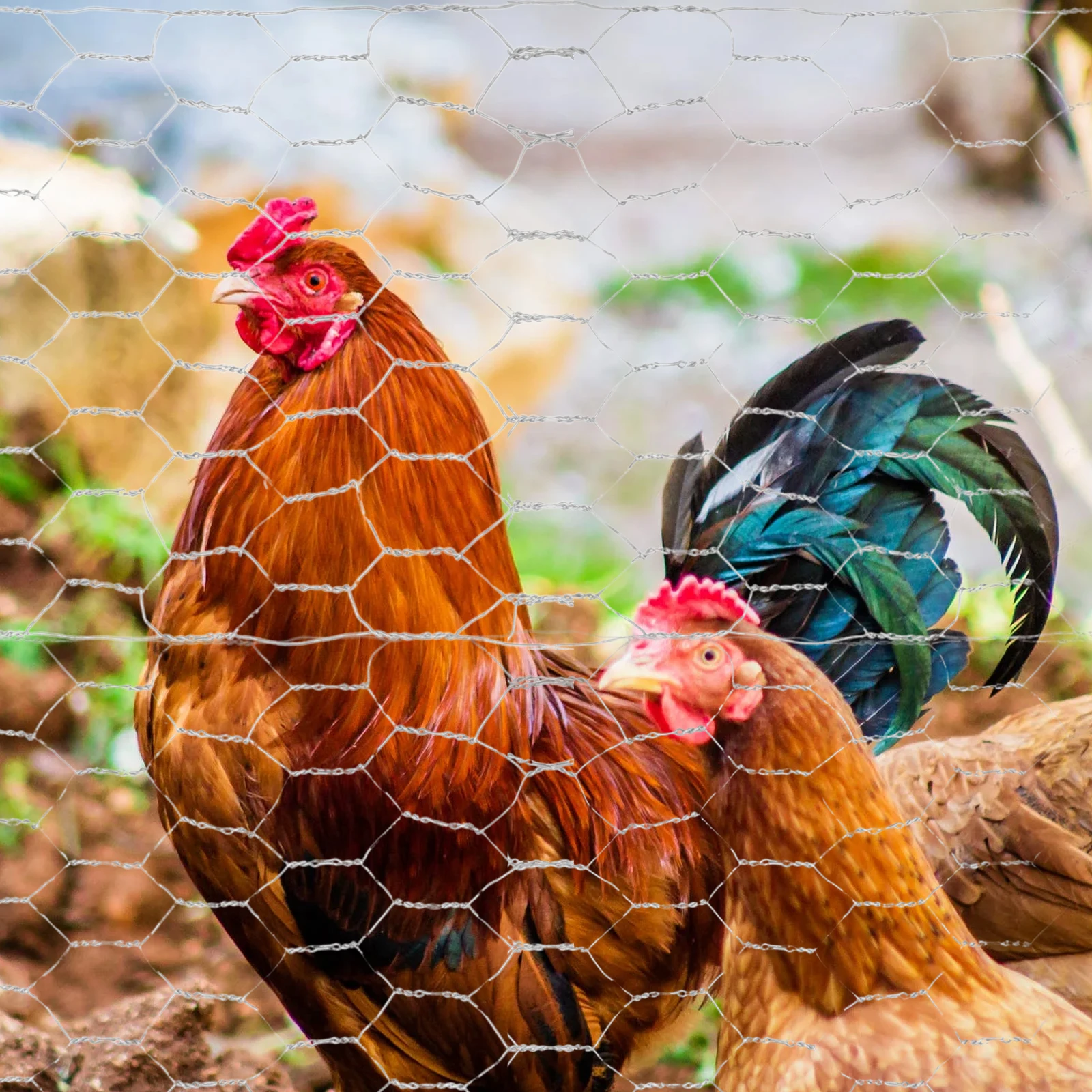 

Galvanized Hexagonal Wire Mesh Sturdy Durable Poultry Breeding Fence Chicken Duck Goose Net DIY Crafts Garden Fencing Animal