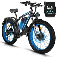 Philodo H8 Adult Electric Bicycle 3000W48V26AH ebike Battery Hydraulic Brake 26-inch Electric Bicycle