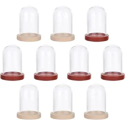 10 Sets Mini Eternal Flower Glass Dome Cloche Clear Glass Display Case with 2 Colors Wooden Base Bell Jar Cloche for Valentine