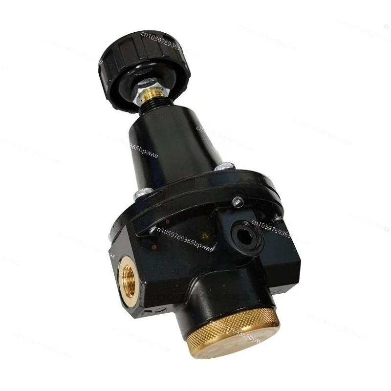 

4011040551 Back Pressure Valve 0821302068 Genuine Genuine Edge Banding Machine E