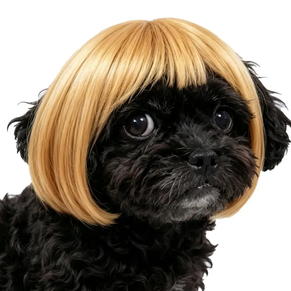 Hundeperücke-Kollektion Lustige Cosplay-Festivals Partys Dekorative Kleidung für Hunde und Katzen Halloween Haustier-Requisiten Zubehör – Detail 4