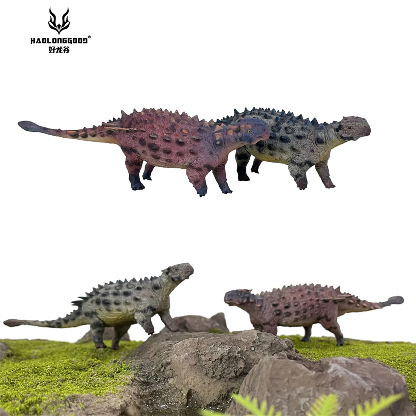 

HAOLONGGOOD 1/35 Saichania Model Herbivorous Ankylosauridae Dinosaur Animal Collection Scene Decoration GK Birthday Gift Toy