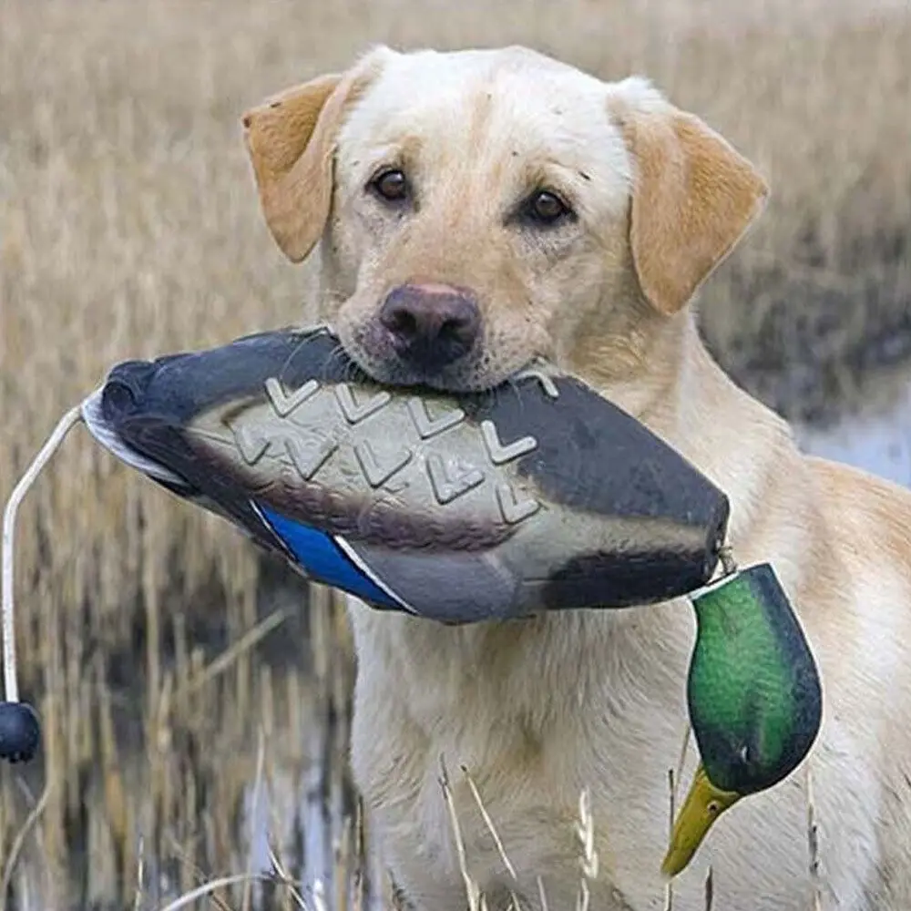 Thumbnail 2 - #7 Top Dog Fetch Toys Picks for Every Budget
