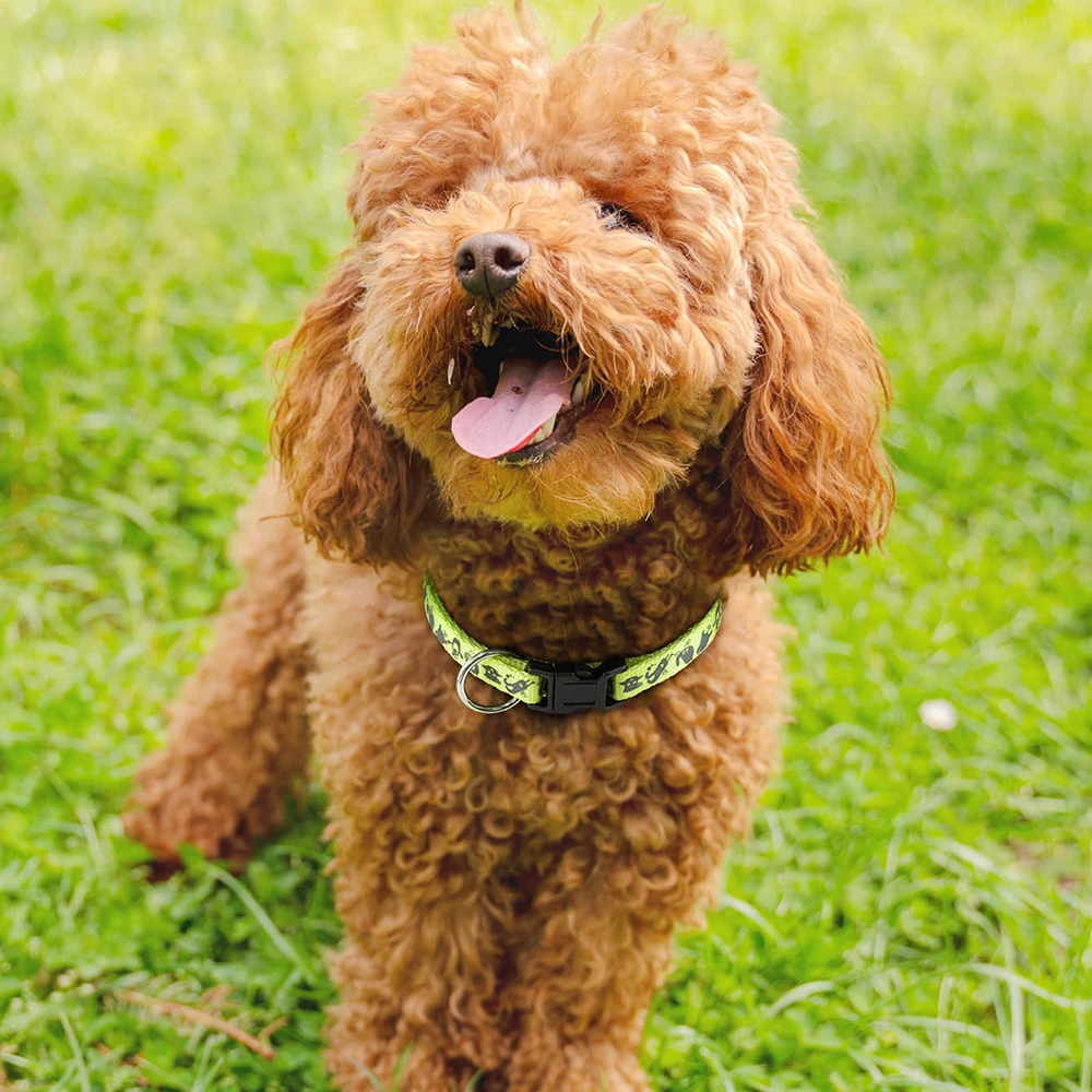 جميعًا لطوق الكلاب مع ملحقات الكلاب المطبوعة على شكل حيوانات للحيوانات الأليفة والجرو وإكسسوارات الحيوانات الأليفة وأطواق الكلاب #4