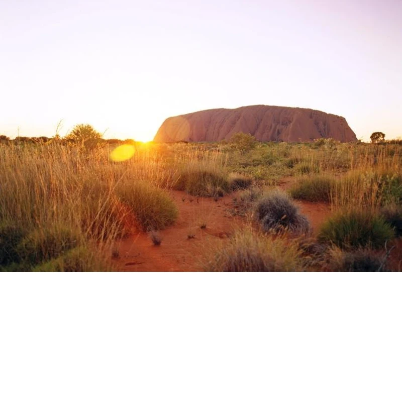 

Foldable Front Windshield Sun Shade For Nissan Juke UV Reflective Sun Protection Cover Car Interior Accessories