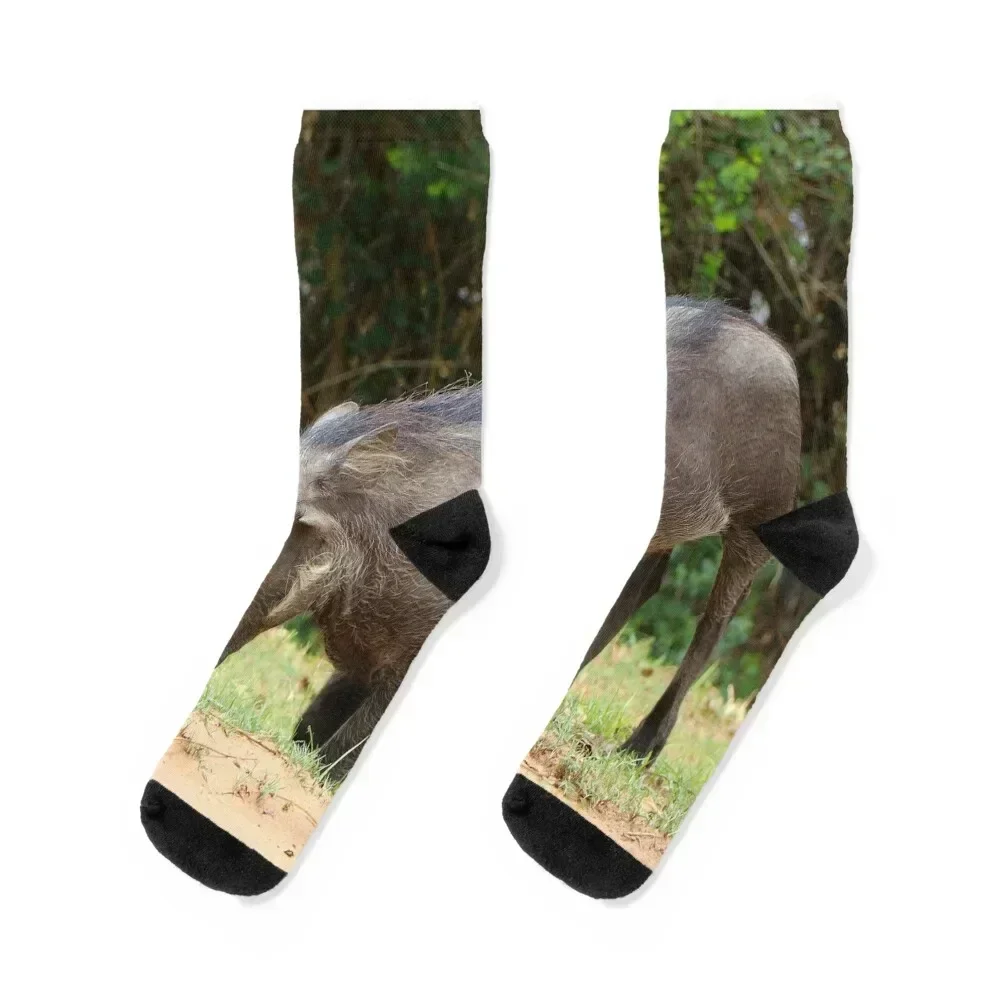 

African warthog Socks short fashionable halloween FASHION Women's Socks Men's