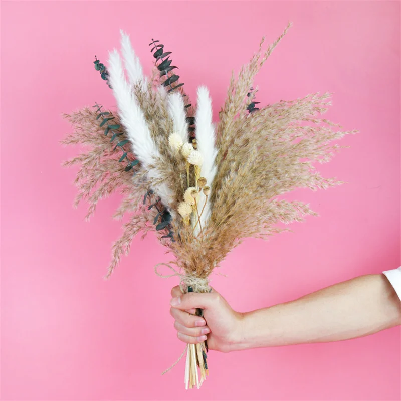 20pcs Reed Pampas Eucalyptus Grass Natural Dried Flowers Bouquet Wedding Hay For Party Bohemian Home And Comfort Decoration