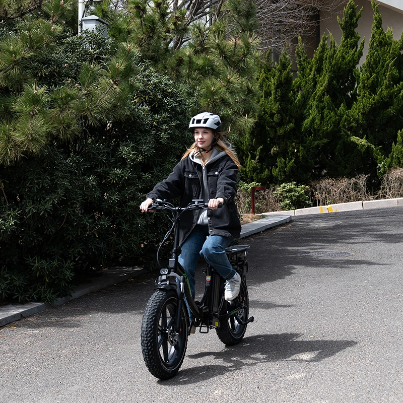 20 Inch Electric Bike Professional Factory Ebike Fat Tire Folding Electric Bicycle Aluminum Alloy 7 Speed Ebike