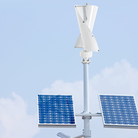 Wind Turbine 100W Vertical Axis Wind Turbine Generator Home Wind Turbine System with Controller & 2 Blades Wind Power Equipment