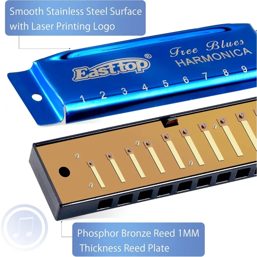 مجموعة هارمونيكا إيست توب مكونة من 310 فتحة بلوز هارب دياتونيك ماوث أورجان هارمونيكا مع 3 مفاتيح A C G للاعبي الفرقة للبالغين