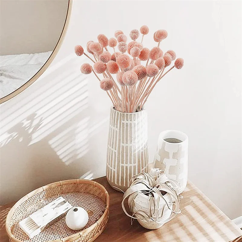 Dried Craspedia Flowers Billy Button Balls Flowers for Home Office DIY Flower Arrangements Wedding Boho Baby Shower Decorations