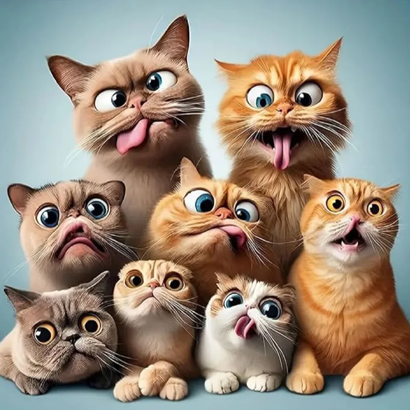 Lustiges Katzen-Diamantmalset, DIY Erwachsenen-Volldiamant-Heimdekoration Malset, Erwachsenenstil, Rahmenlose Kunsthandwerke