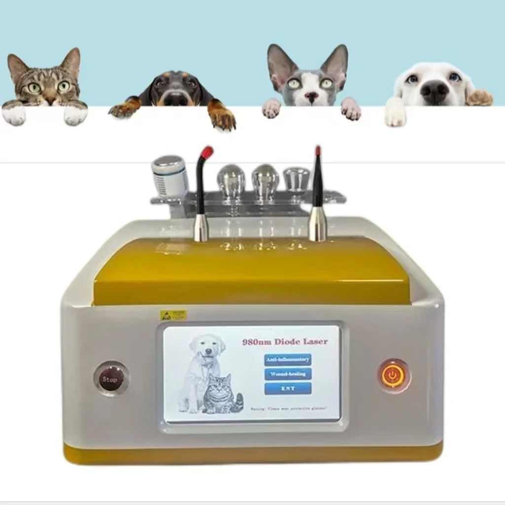 

Portable Dog Cat Care 980 Cold Laser Physical Therapy Pain Therapy ENT Laser Therapy Pet Veterinary Machine