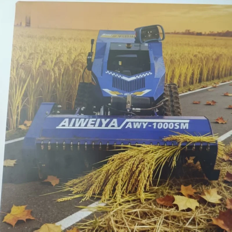 Customized New Mode… - image