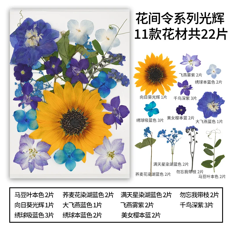 22Pcs African Daisies and Sunflowers Set Mixed Dried Flower and Leaf Package for DIY Face Decoration, Handmade Dried Flower Package, Plant Specimen Pressed Flower Material Package, Preserved Flower Pressed Flower