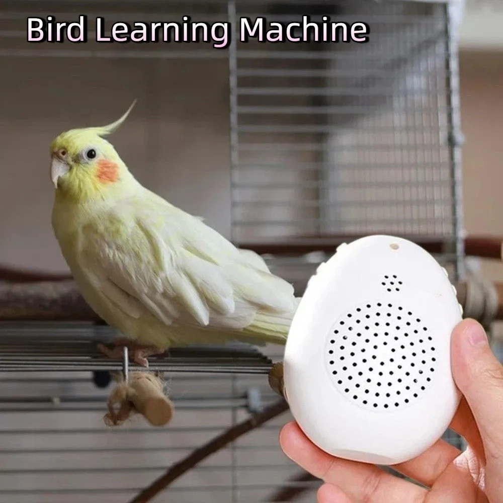 Recording Bird Learning Machine Interactive Playback Speech Training Machine Multi Segment Audio Source Timer-Controlled
