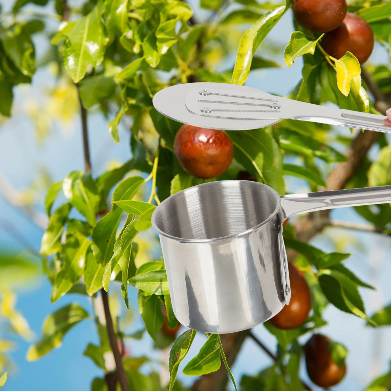 

Fruit Picking Tool Stainless Steel Berry Picker Large Capacity Handheld Jug Lid Saver Thorn Fruit Gardening Tools