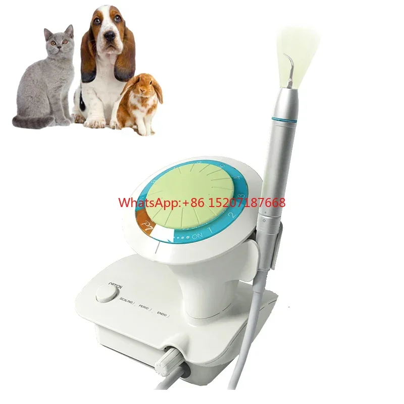 Pneumatic Tooth Care Air Scaler Animal Ultrasonic Scaler Teeth Cleaner for Animal